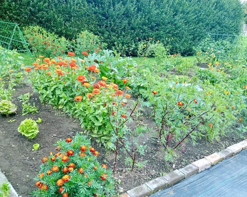 Culture